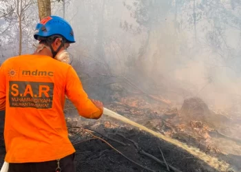 Muhammadiyah Respons Kebakaran Hutan dan Lahan di Sejumlah Wilayah Kalimantan