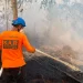 Muhammadiyah Respons Kebakaran Hutan dan Lahan di Sejumlah Wilayah Kalimantan
